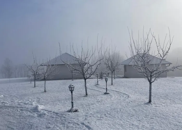 Apartmani Mladenovac