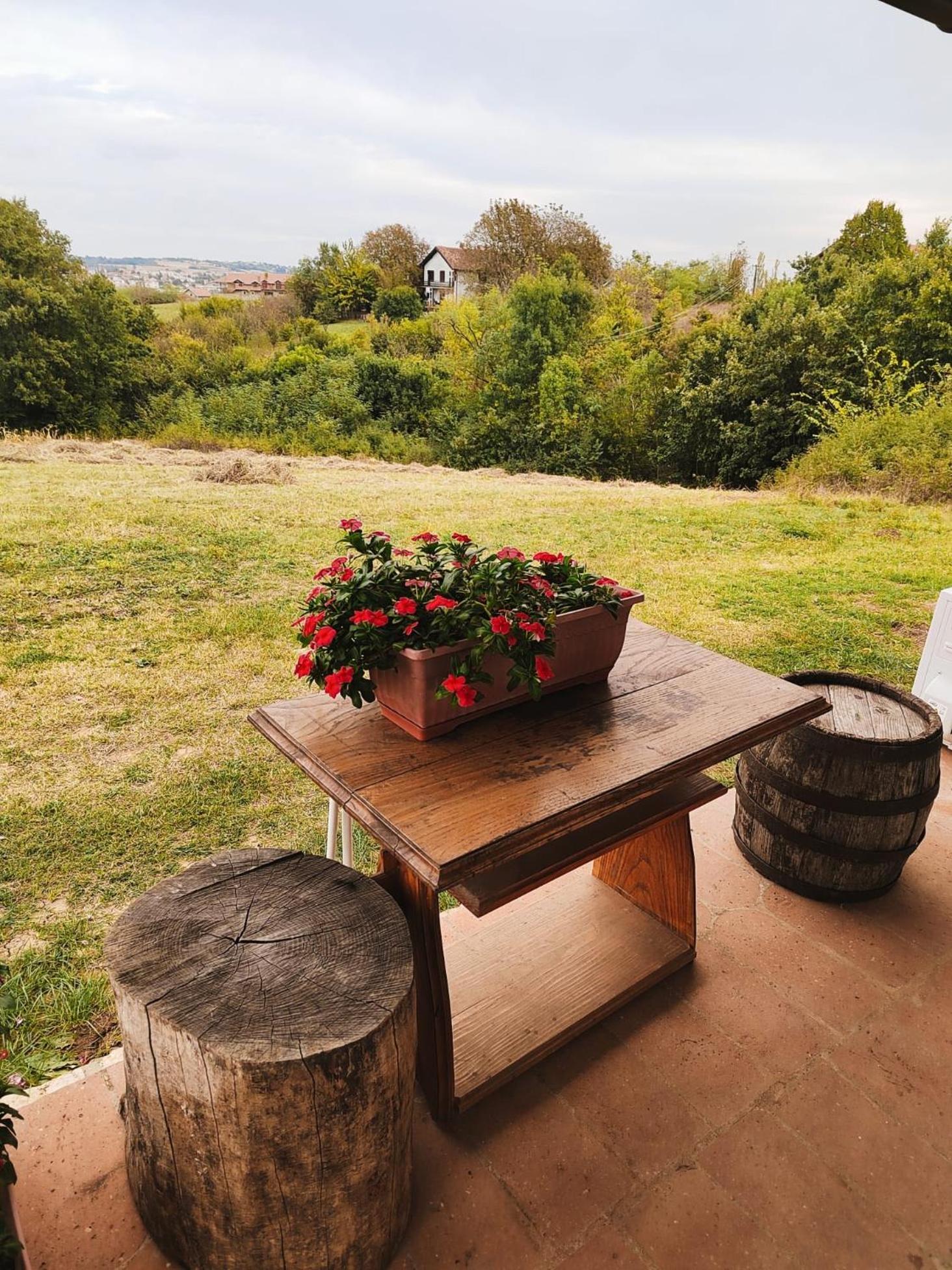 Apartmani Mladenovac *