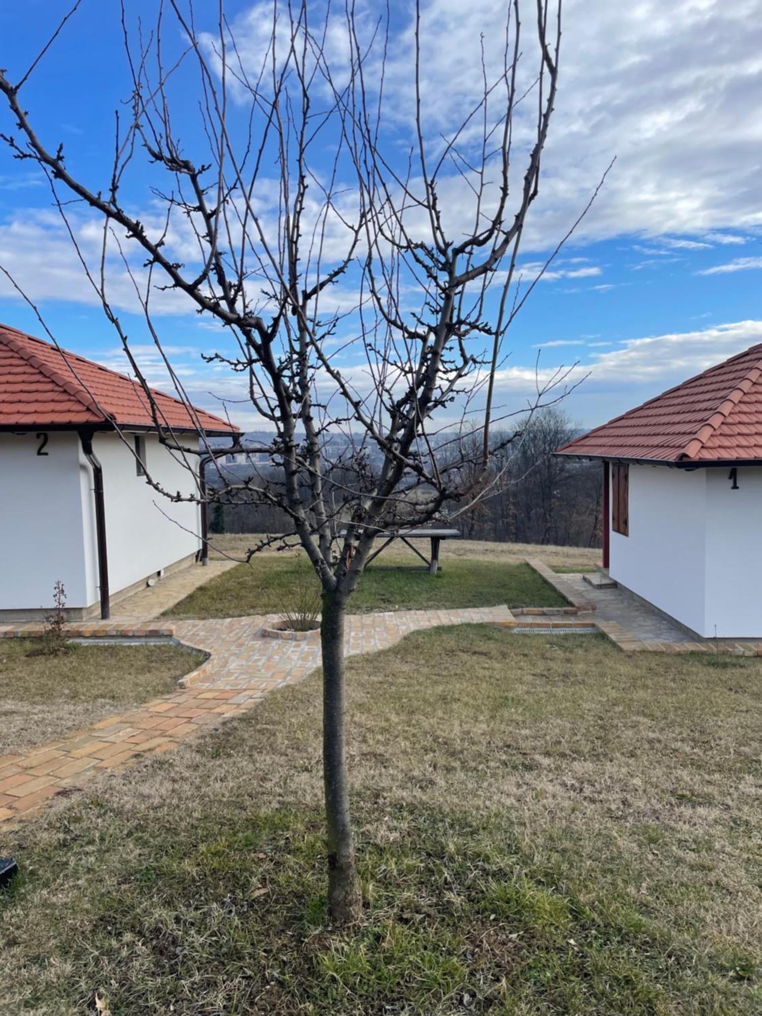 Apartmani Mladenovac