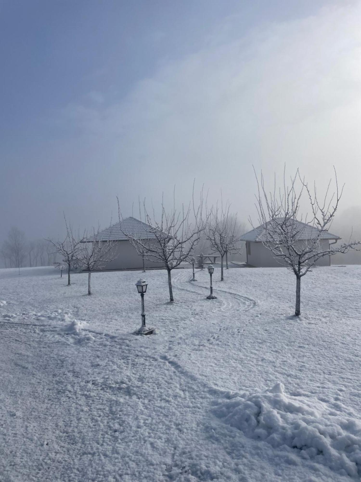 Apartmani Mladenovac Apartment *